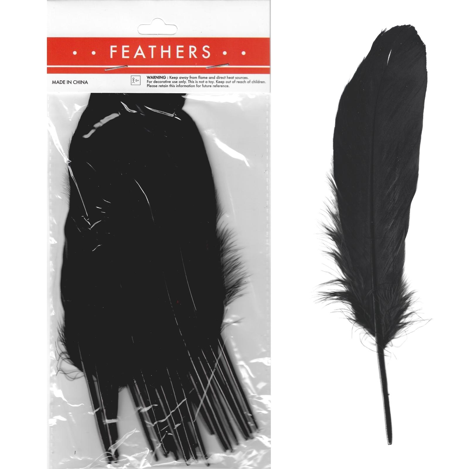 Black Feathers 17cm