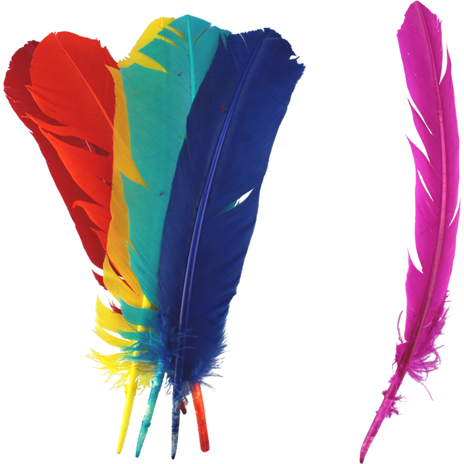 Assorted Coloured Feathers 28cm (Pack of 6)