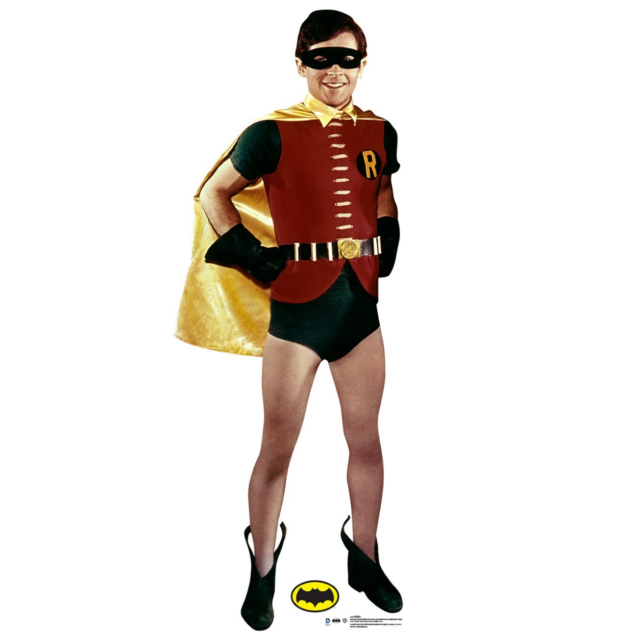 Robin 1960s Batman TV Series Stand Up Photo Prop