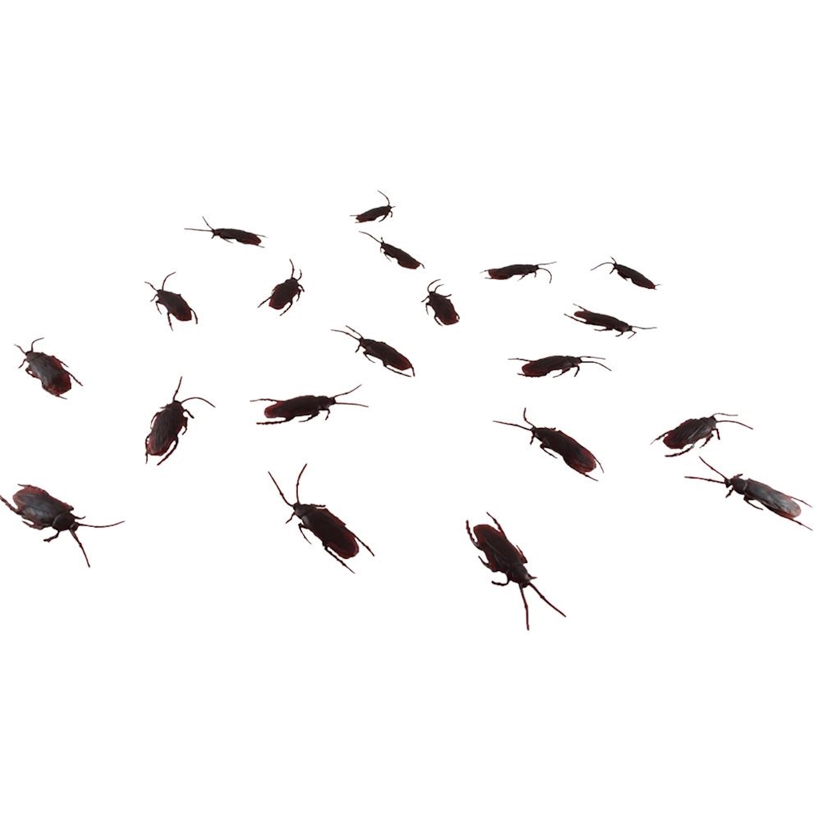 Cockroach Bug Explosion Halloween Props Pack of 20