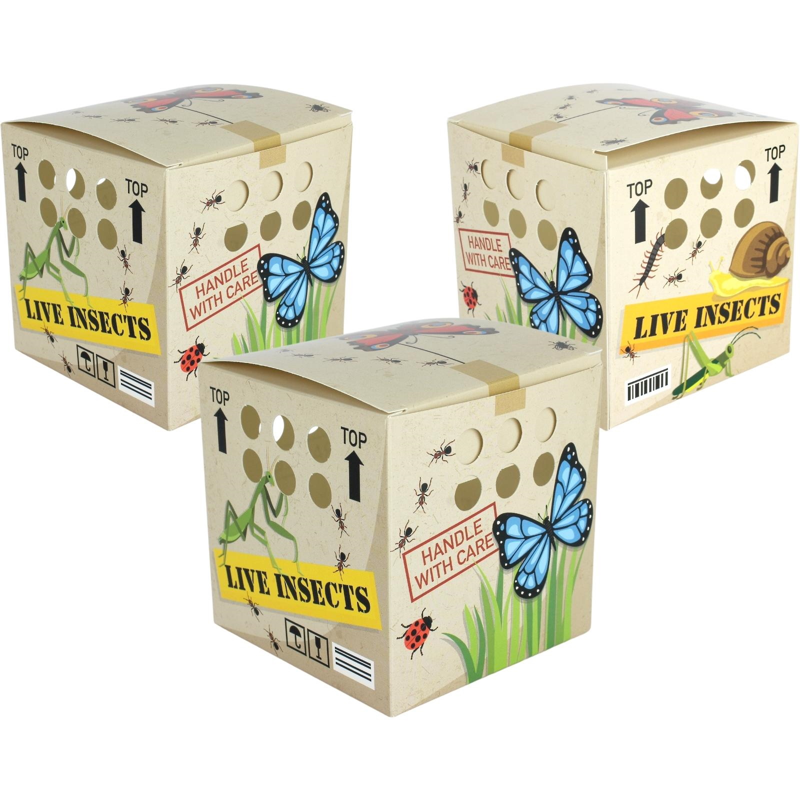 Backyard Adventures Lolly/Treat Boxes (Pack of 12)