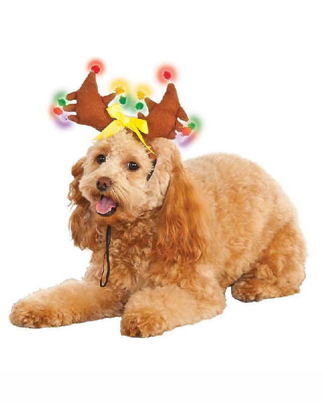 Reindeer Light Up Pet Costume
