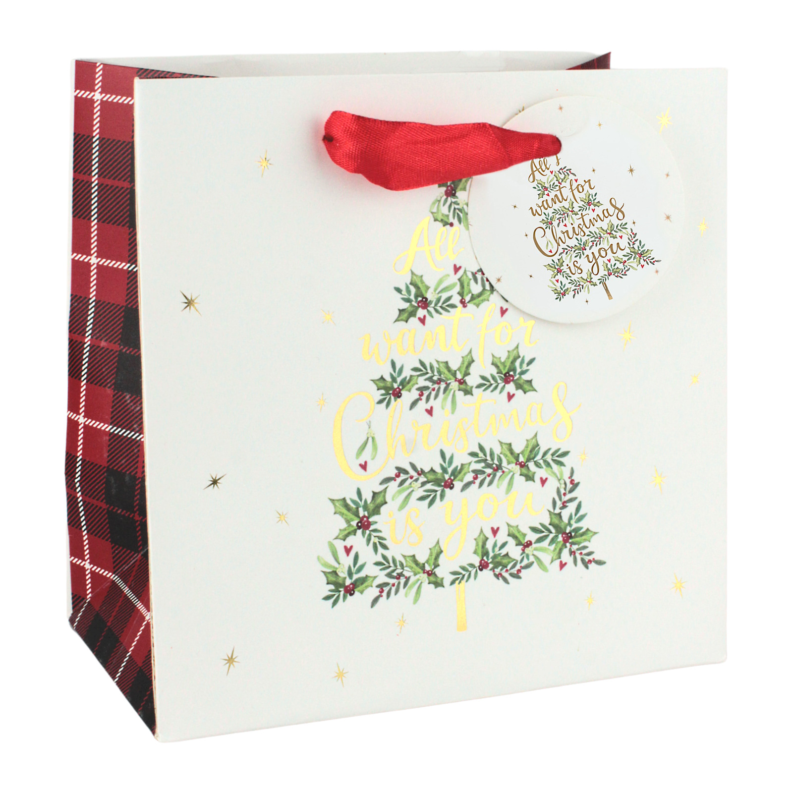 All I Want For Christmas Is You Christmas Paper Gift Bag 17.5cm 