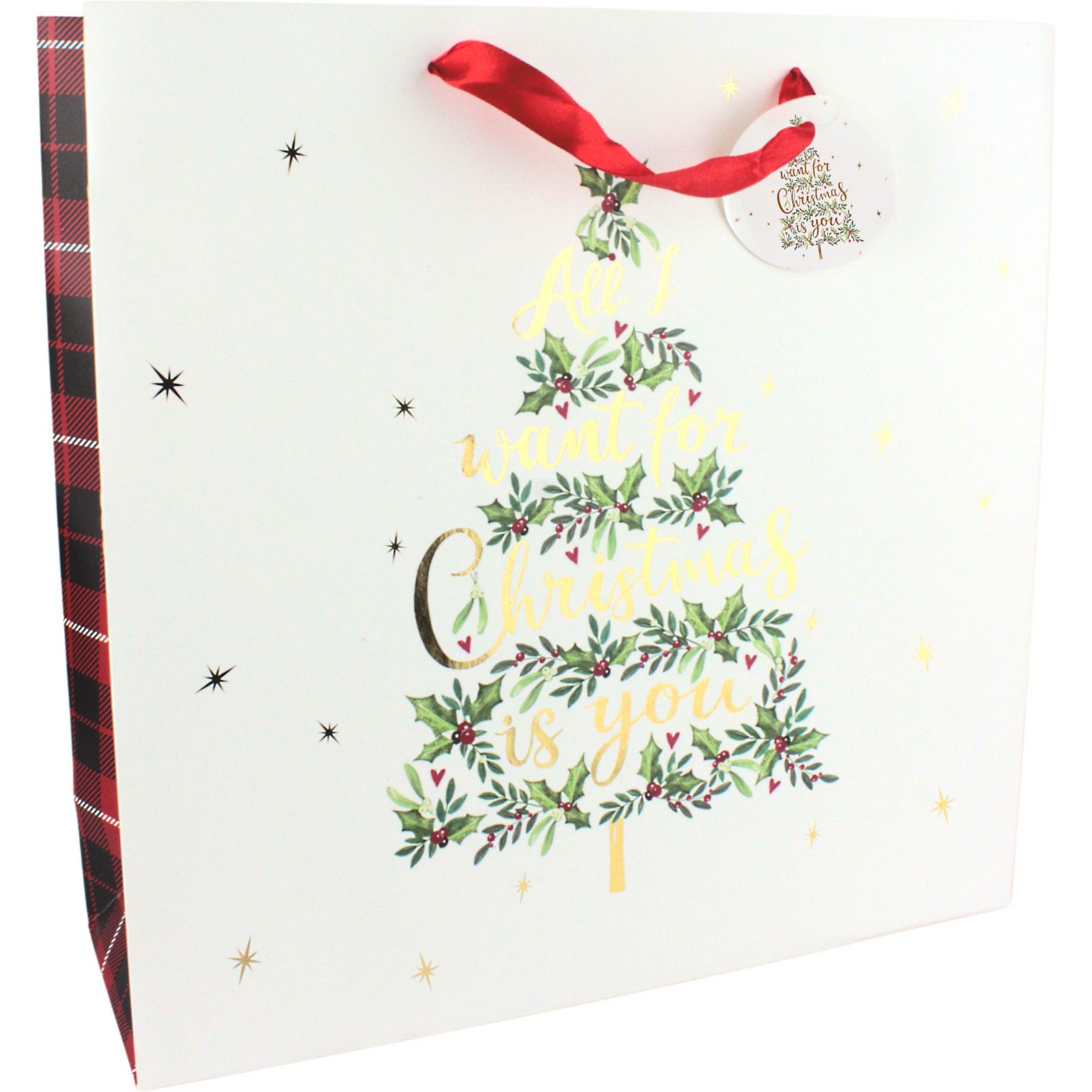 All I Want For Christmas Is You Christmas Paper Gift Bag 35cm 