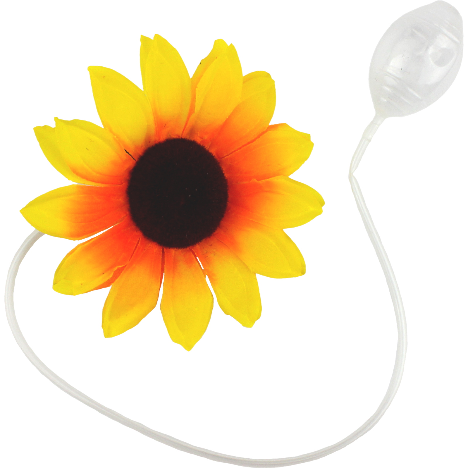 Clown Squirt Sunflower