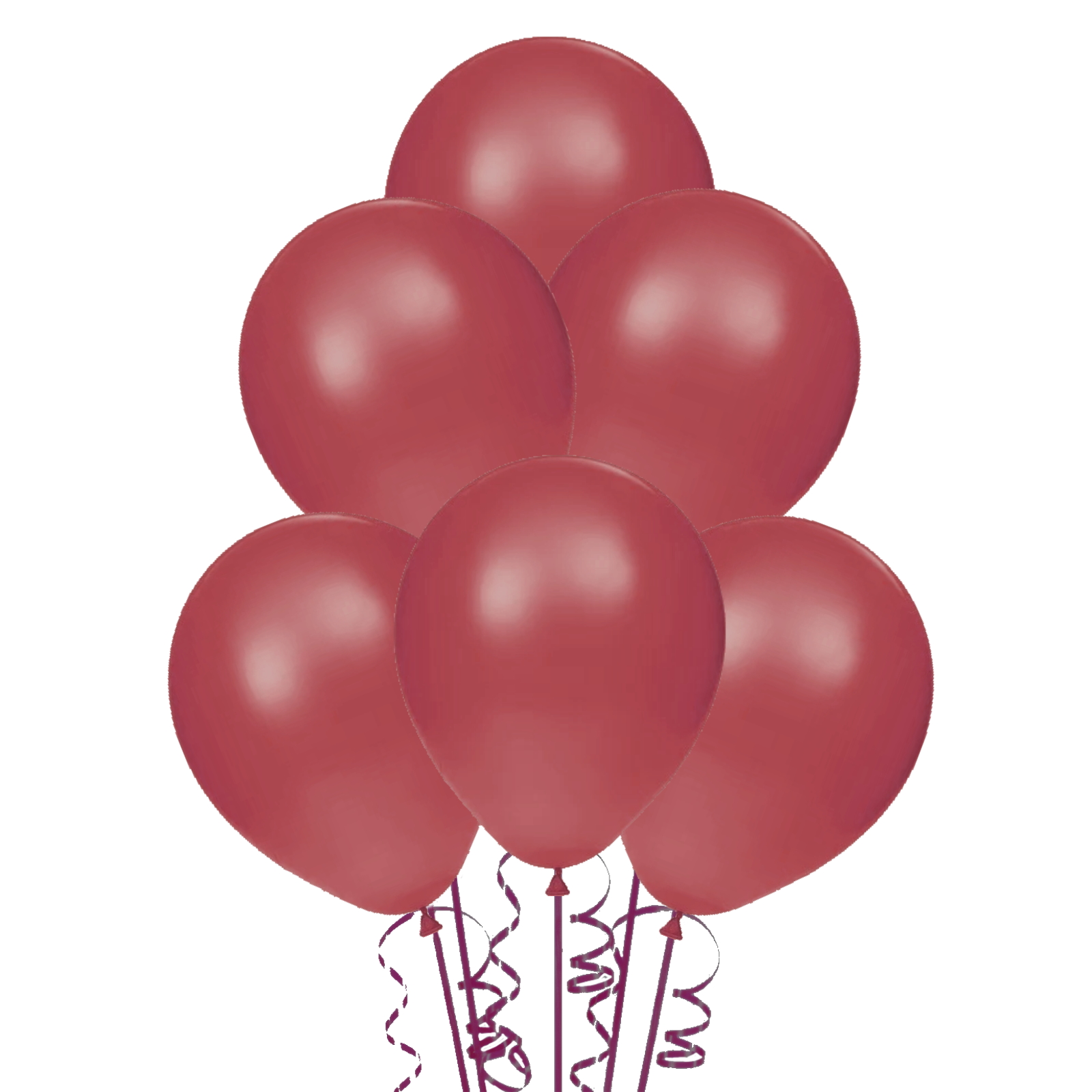 Maroon Party Balloons 25cm (Pack of 15)