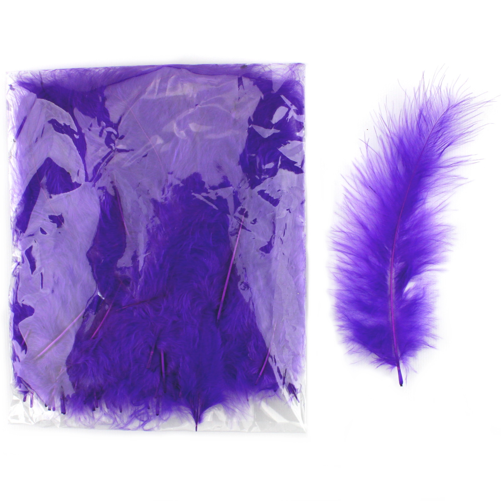 Purple Feathers