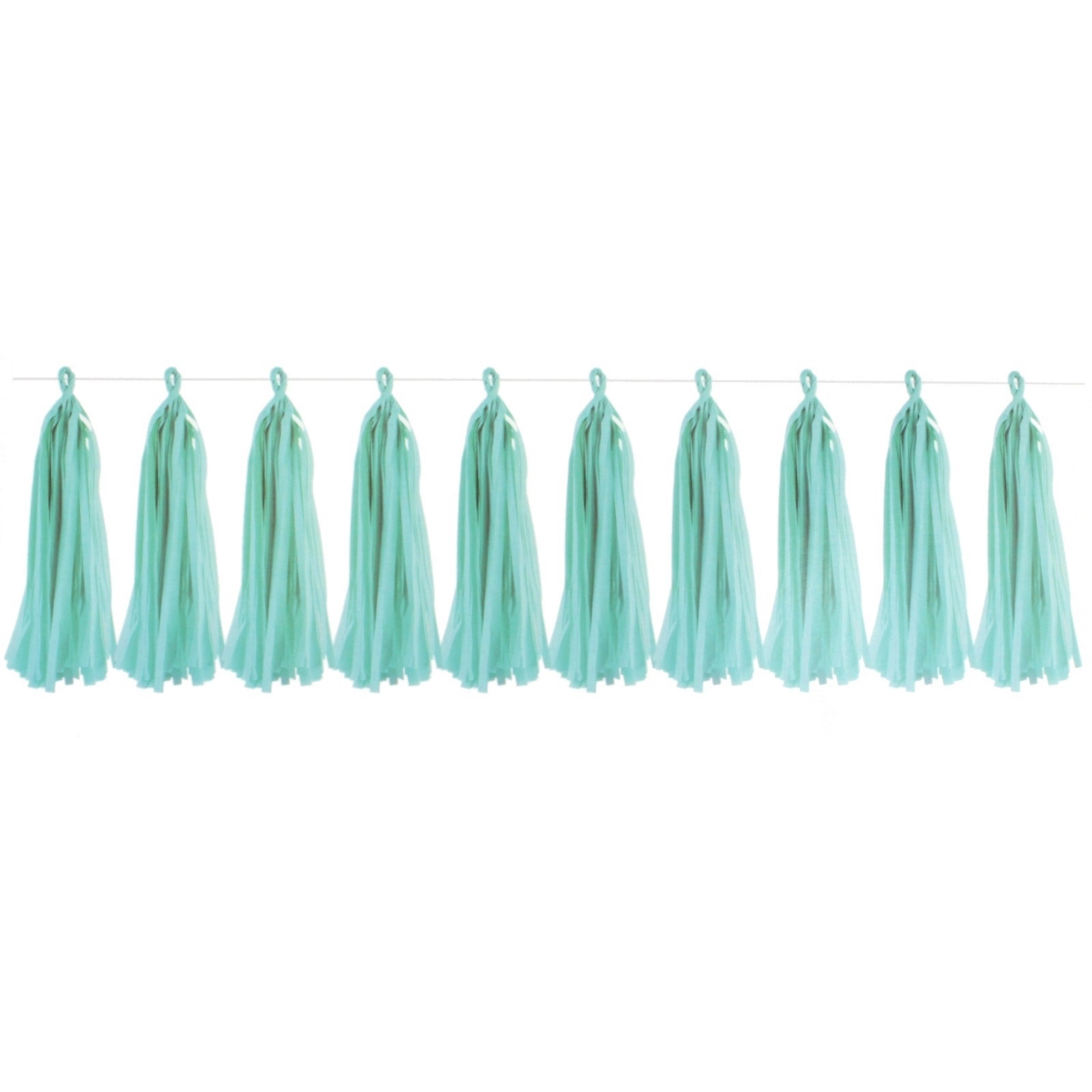 Mint Green Tissue Paper Tassel Garland Kit