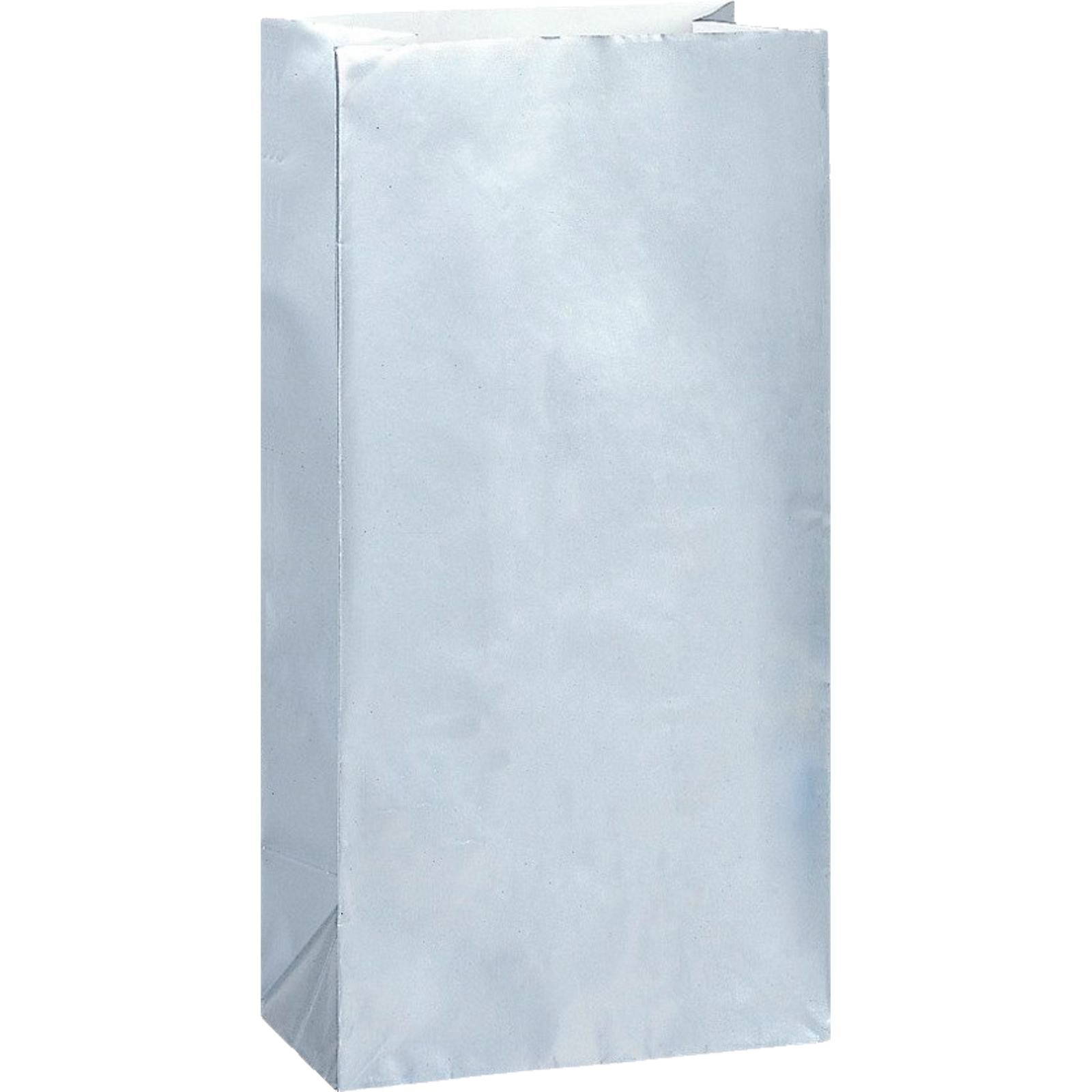 Silver Paper Party Bags (Pack of 10)