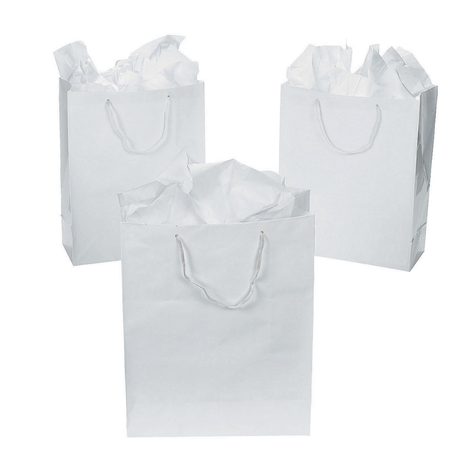 Small White Paper Gift Bags (Pack of 12)
