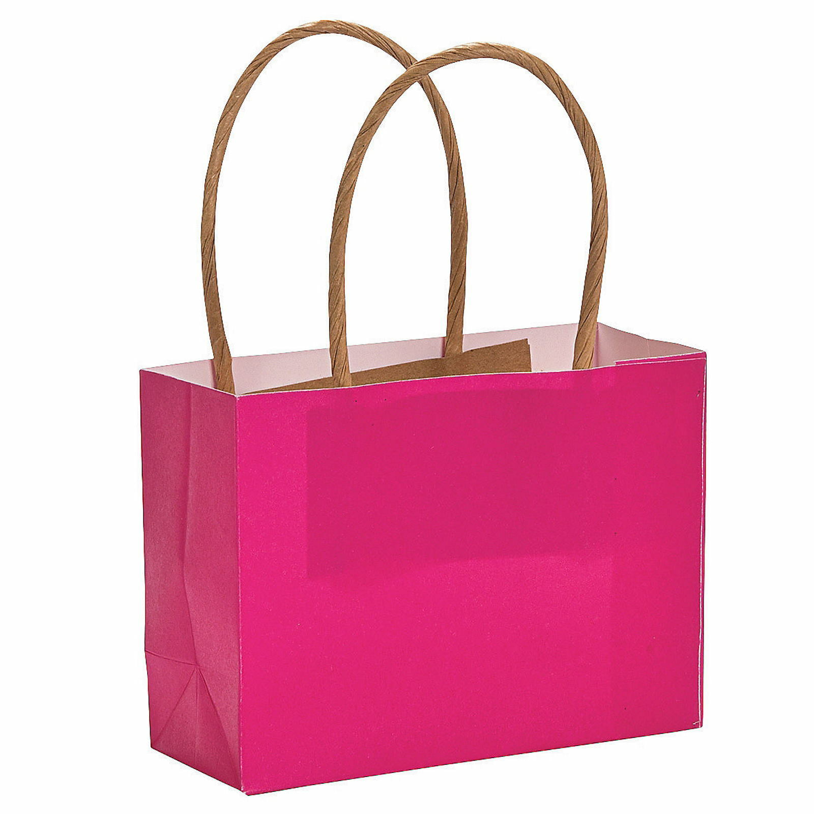Hot Pink Small Paper Gift Bags (Pack of 12)