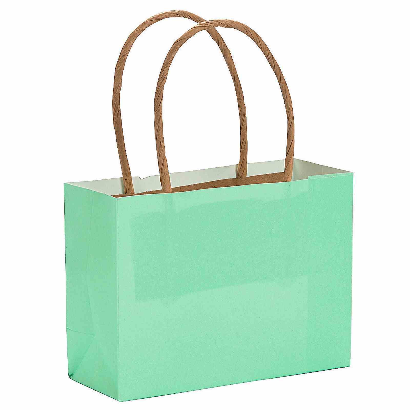 Mint Green Small Paper Gift Bags (Pack of 12)