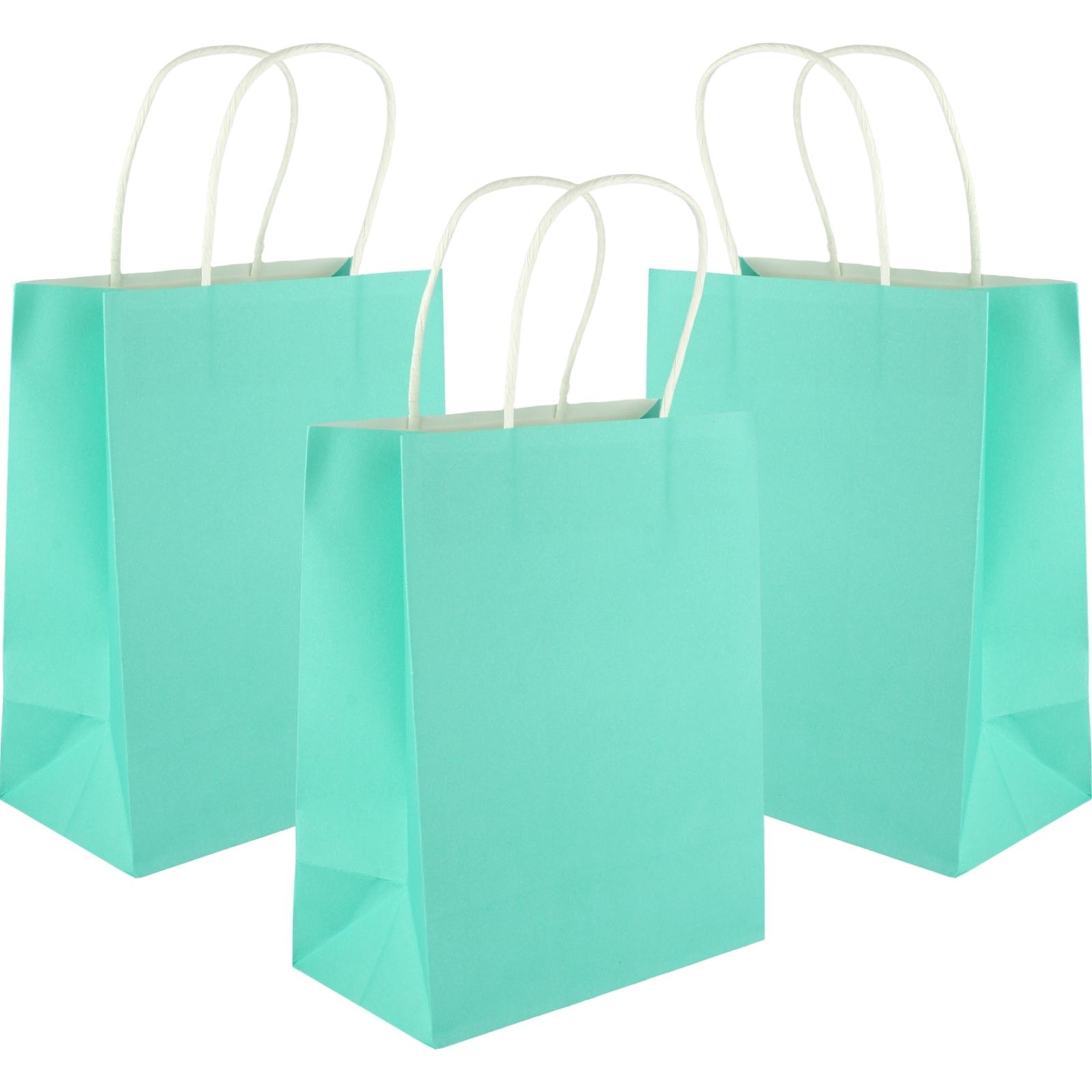 Turquoise Kraft Paper Gift Bags 22cm (Pack of 5)