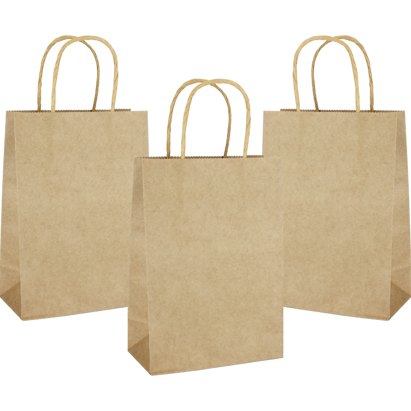 Brown Kraft Paper Gift Bags 20.8cm (Pack of 4) 