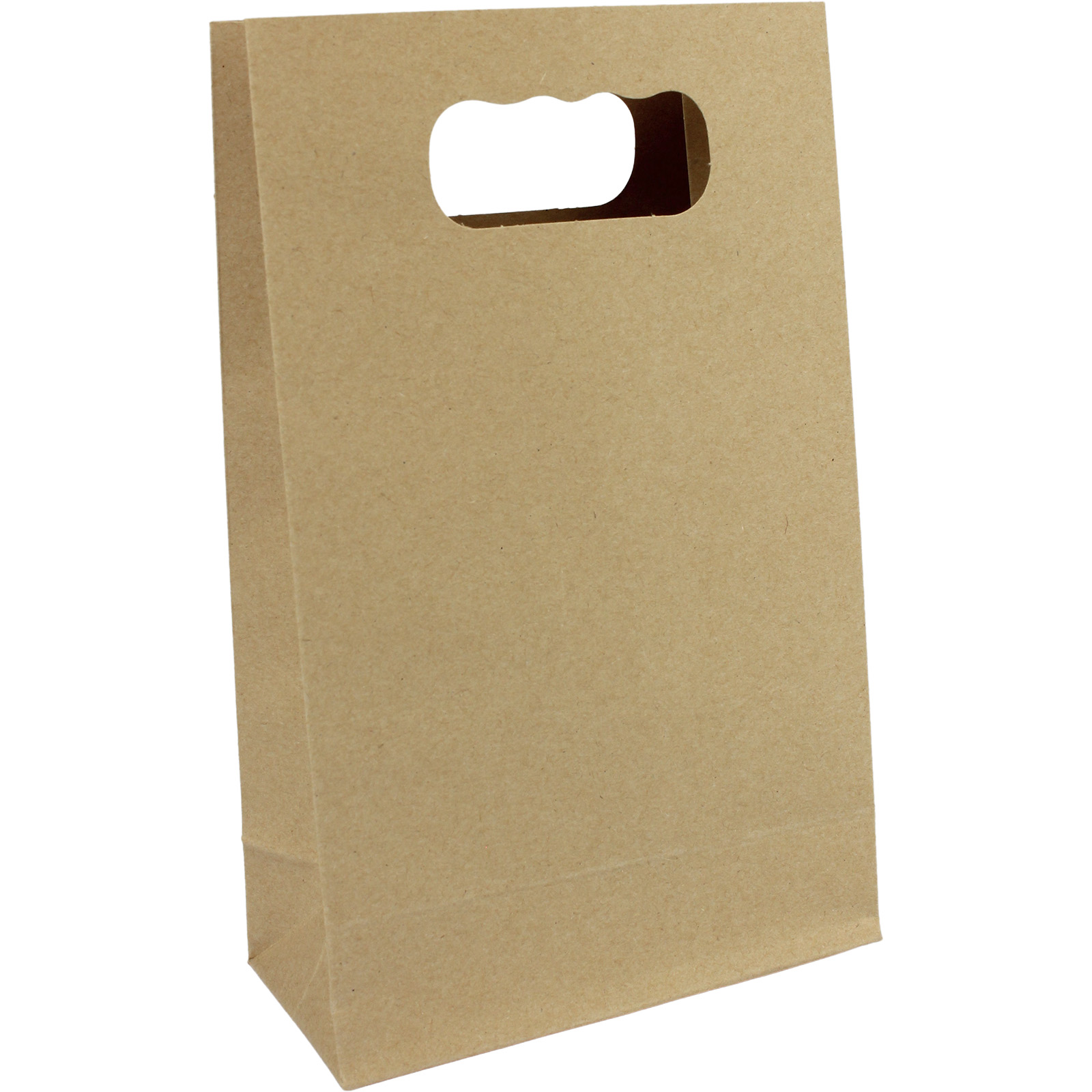 Brown Kraft Paper Treat Bags 18cm (Pack of 6)