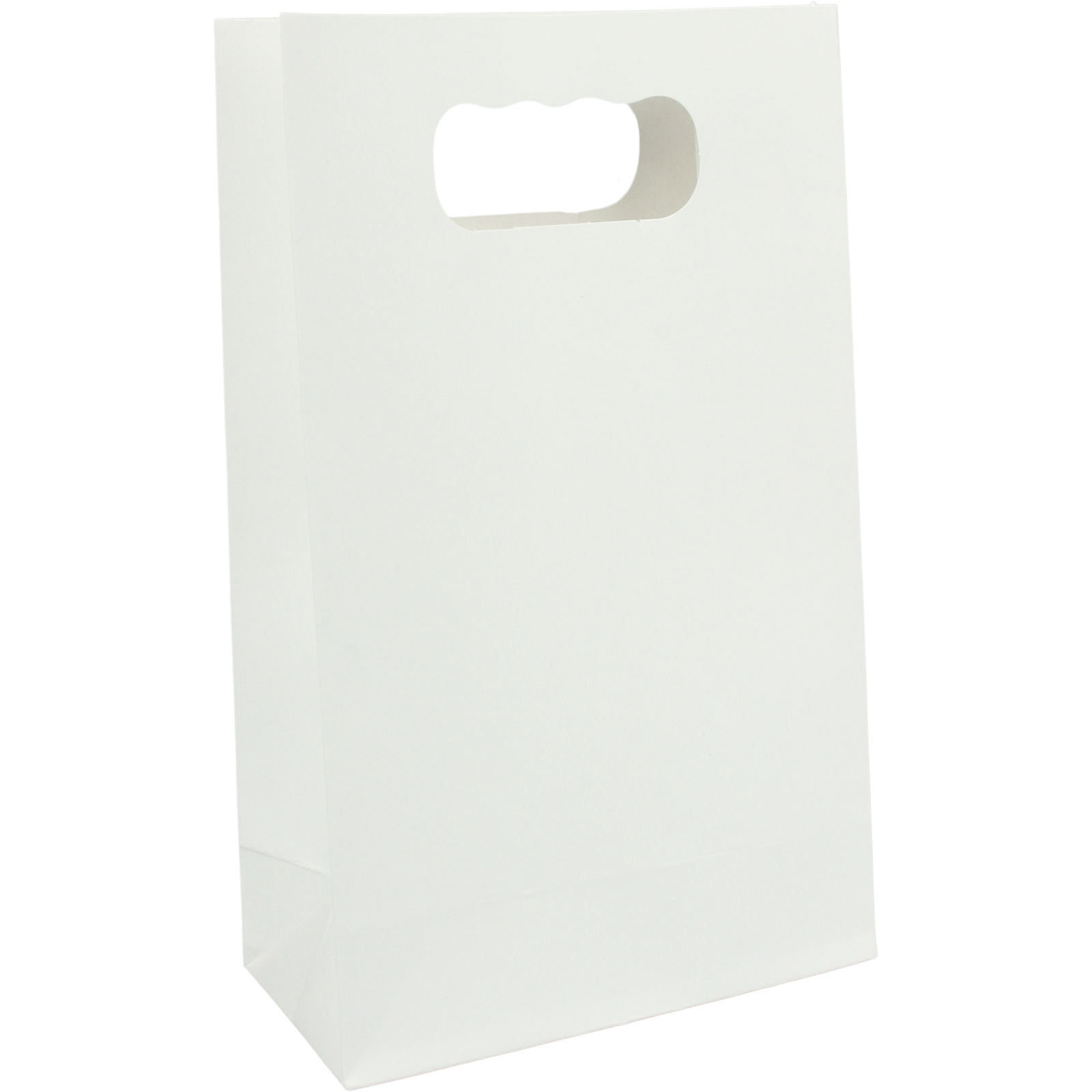 White Paper Treat Bags 18cm (Pack of 6)