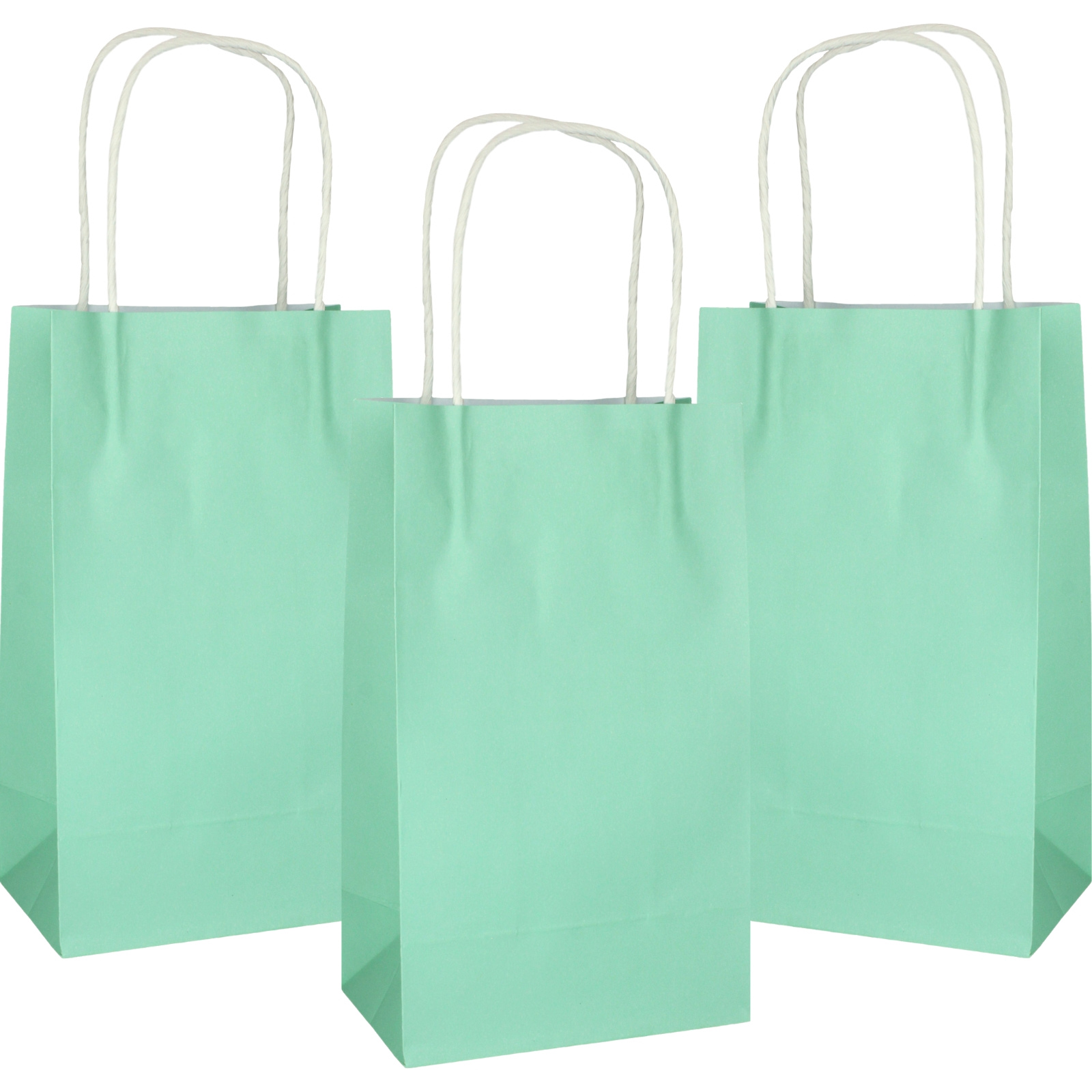 Pastel Mint Green Paper Gift Bags 21.5cm (Pack of 5) 