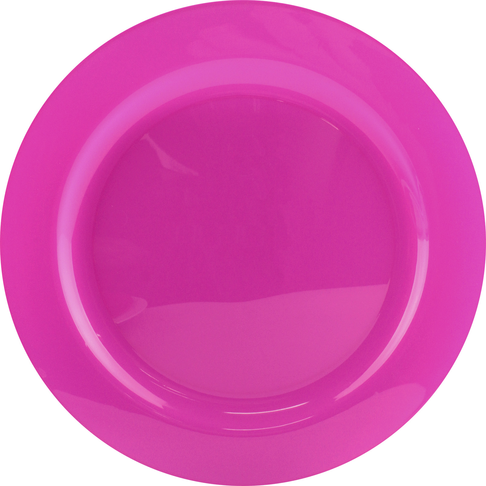 Fuchsia Pink 23cm Plastic Reusable Plates (Pack of 10)