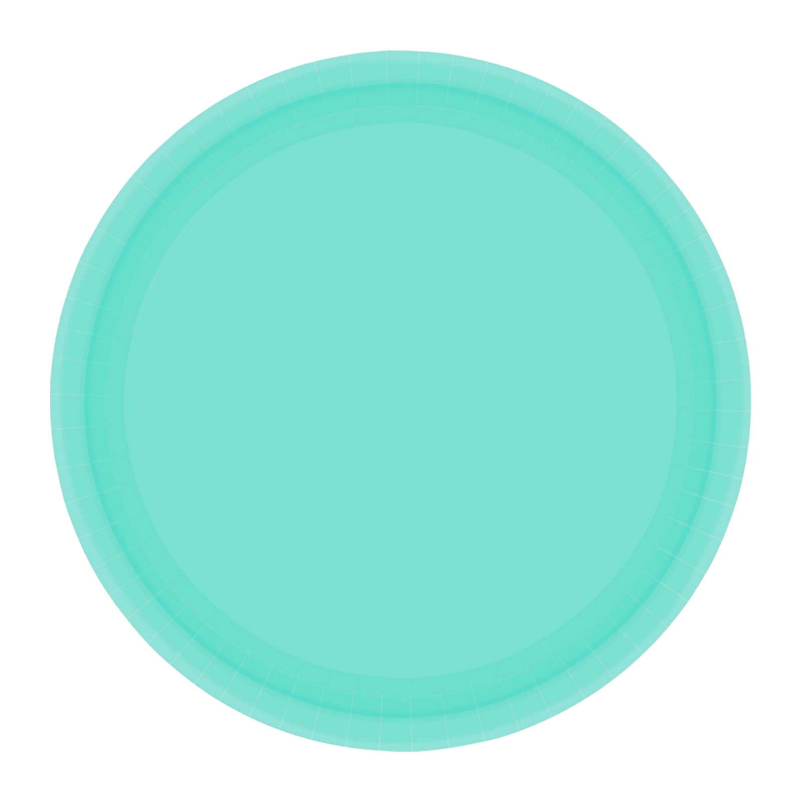 Robins Egg Blue 17cm Round Paper Plates NPC (Pack of 20)