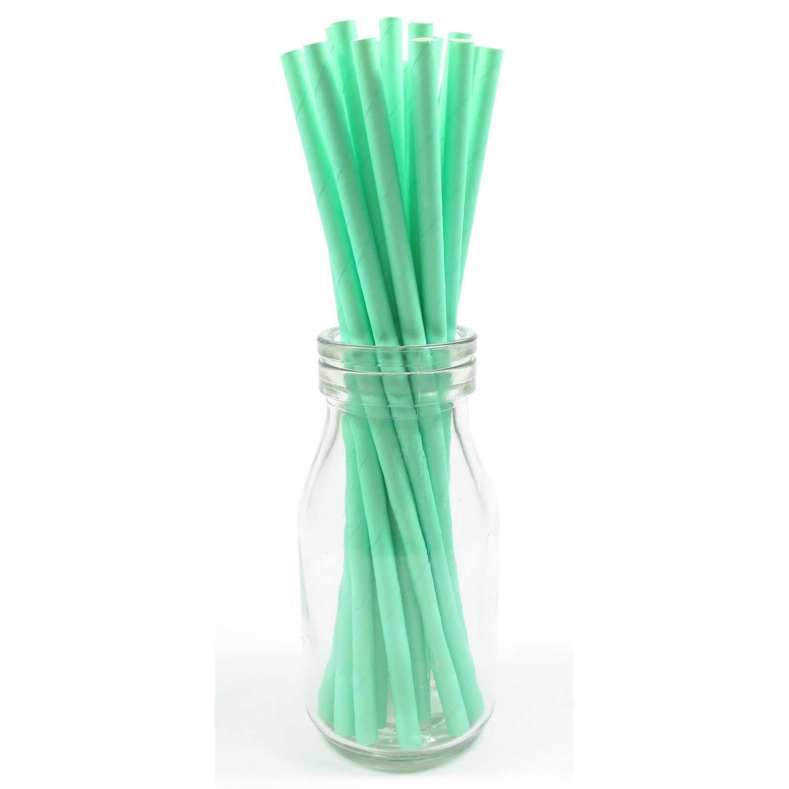 Mint Green Paper Straws (Pack of 25)