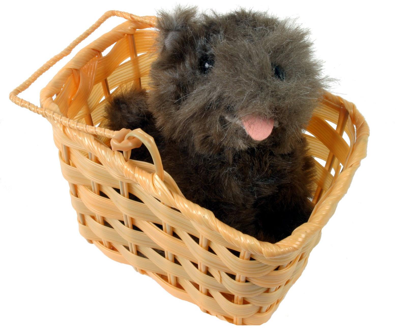 The Wizard of Oz Toto in Basket Prop