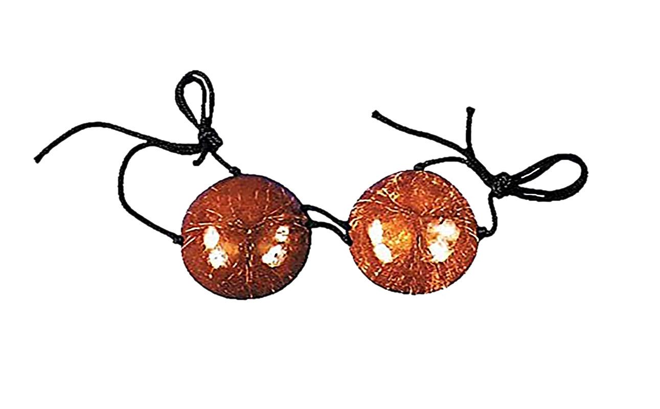 Hawaiian Luau Coconut Bra Adult Costume Accessory