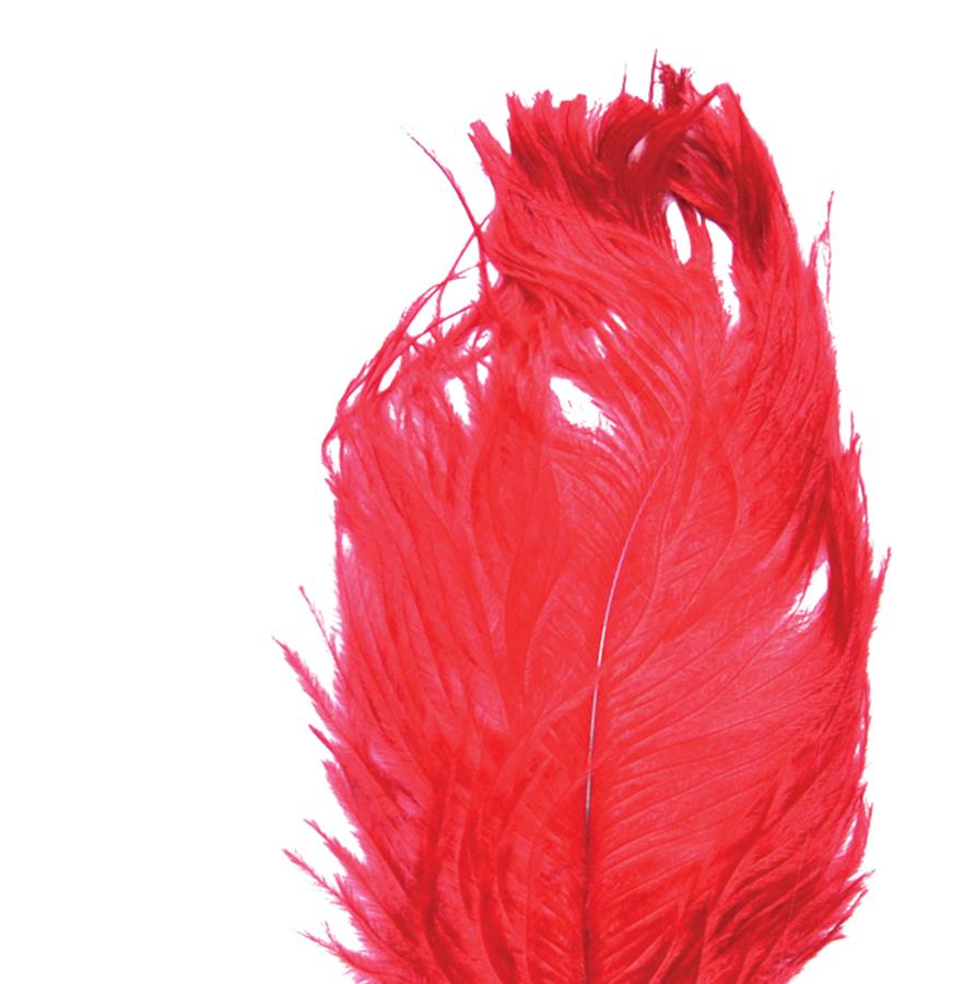 1920's Flapper Headband Adult Costume Accessory Red