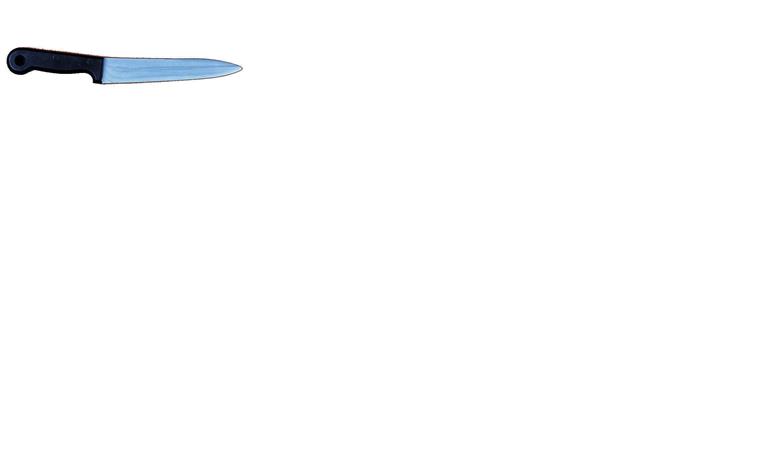 Butcher Knife Costume Accessory