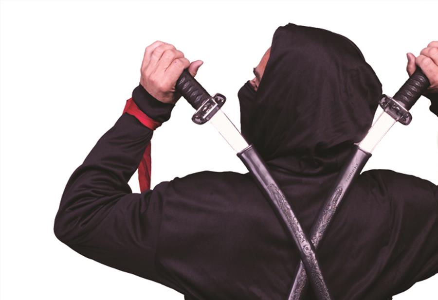 Ninja Double Sword Sheath Costume Accessory