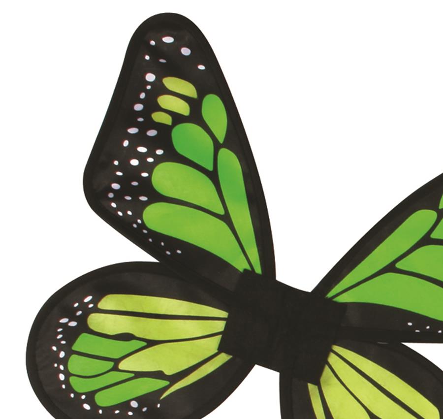 Green Satin Butterfly Fairy Wings Child Costume Accessory