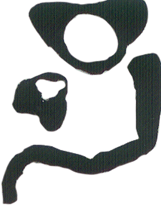 Kitty Cat Instant Adult Costume Kit