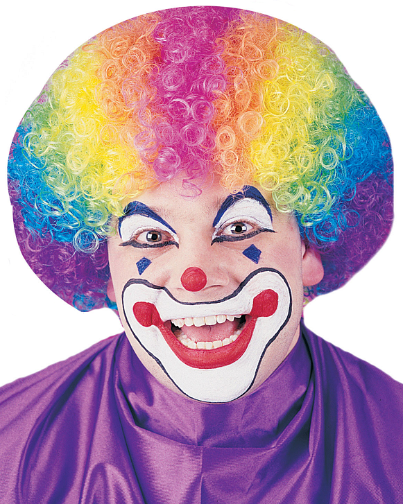 Clown Rainbow Afro Adult Wig