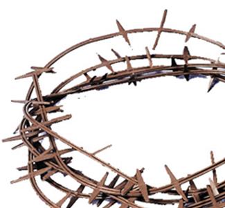 Jesus Crown of Thorns Adult Costume Accessory