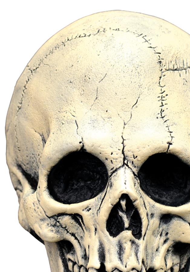 Night Owl Skull White Latex Adult Mask