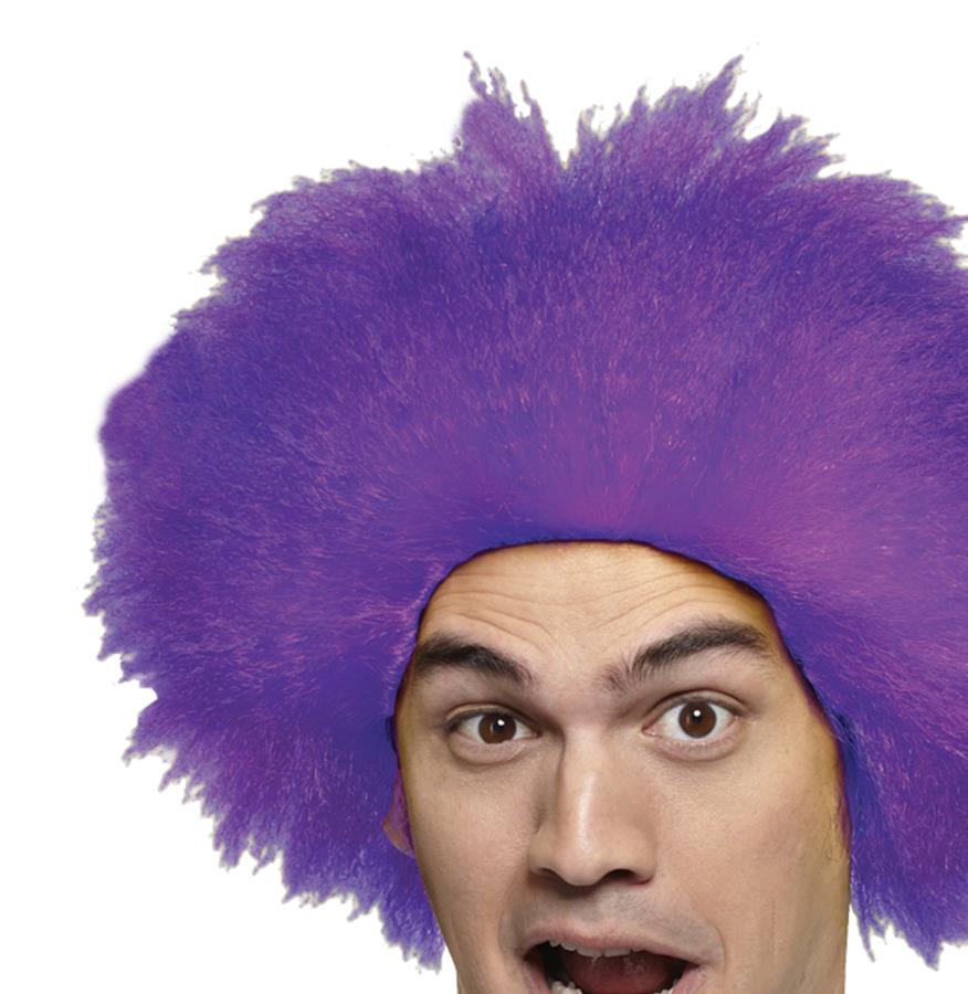 Fun Purple Adult Wig