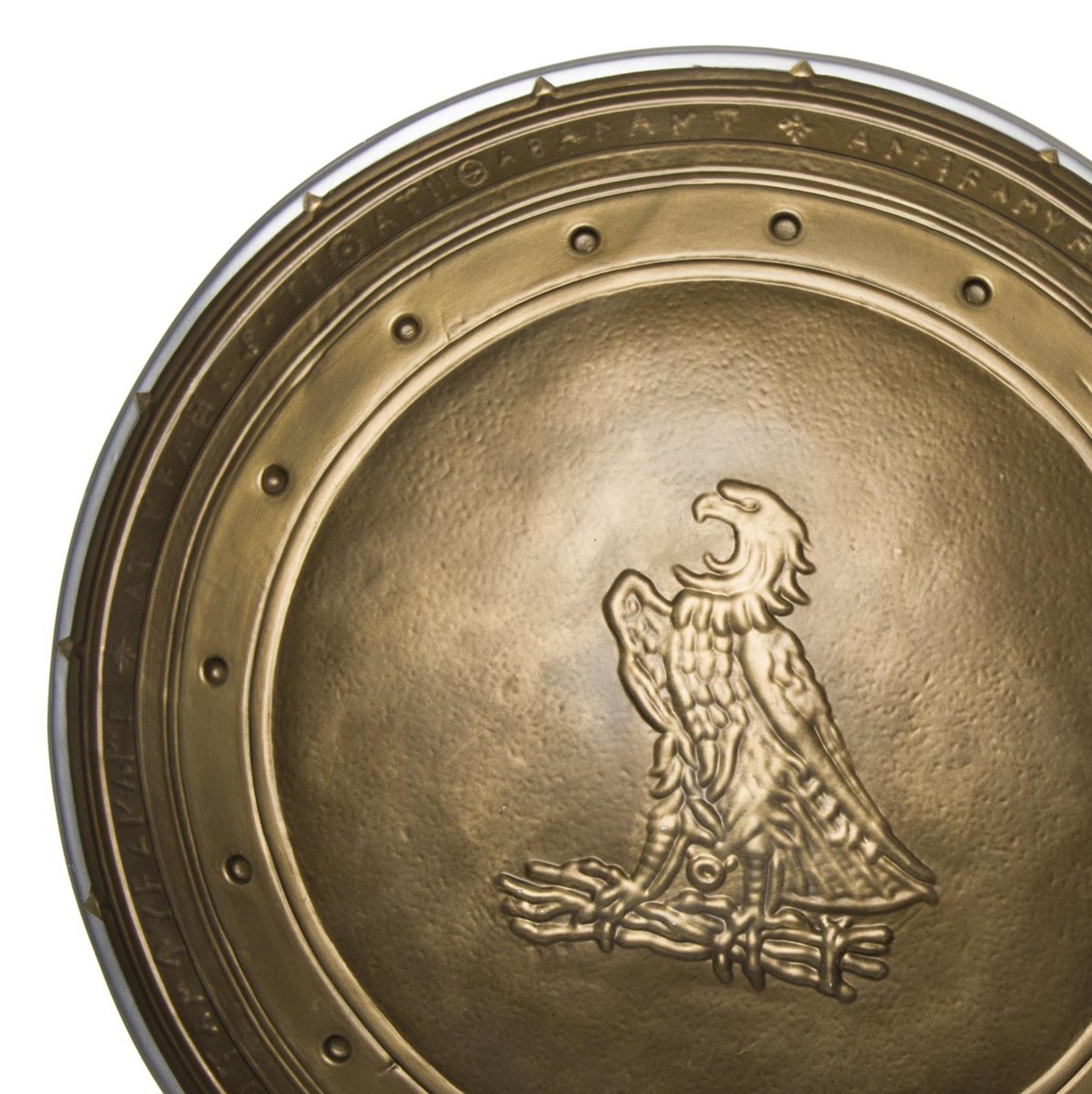 Batman vs. Superman Wonder Woman Shield Costume Accessory