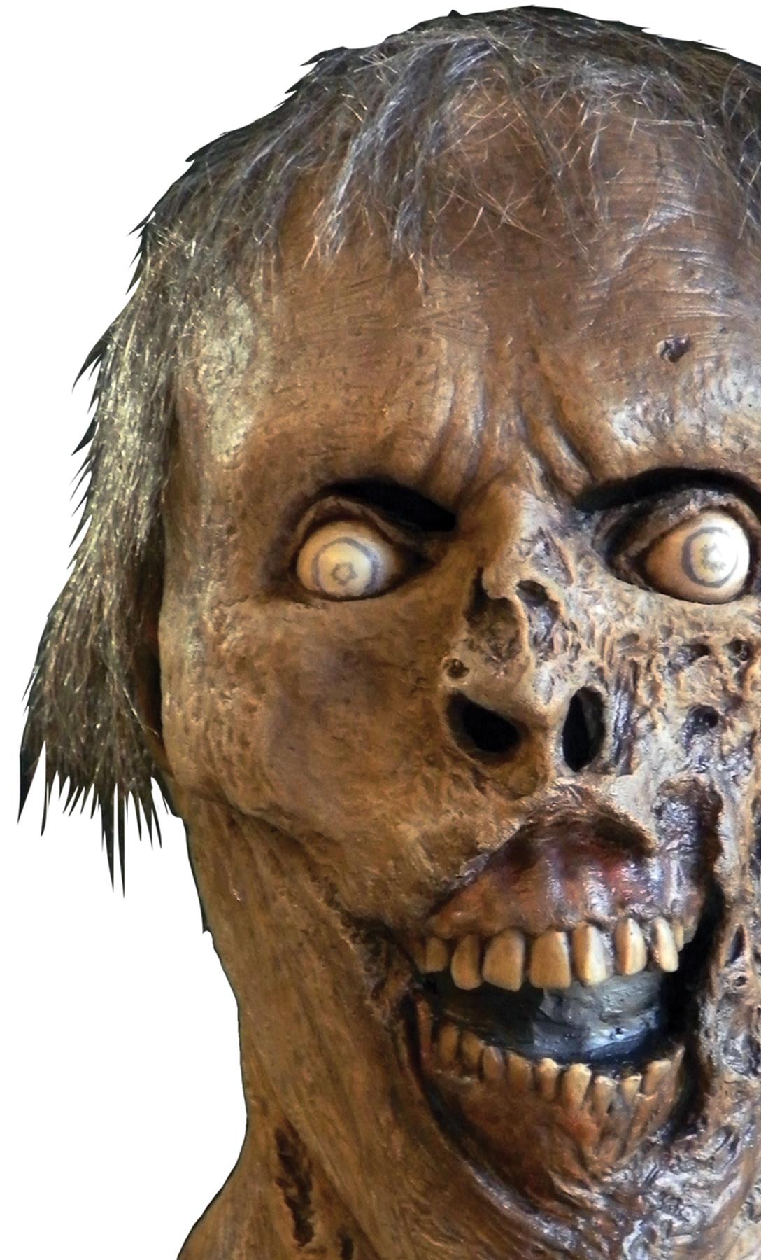 The Walking Dead Indifference Walker Zombie Adult Mask