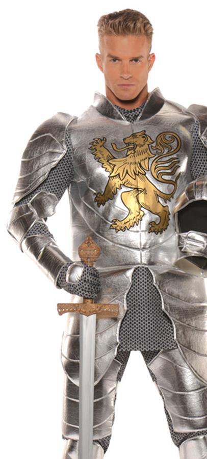 Knight in Shining Armor Adult Costume