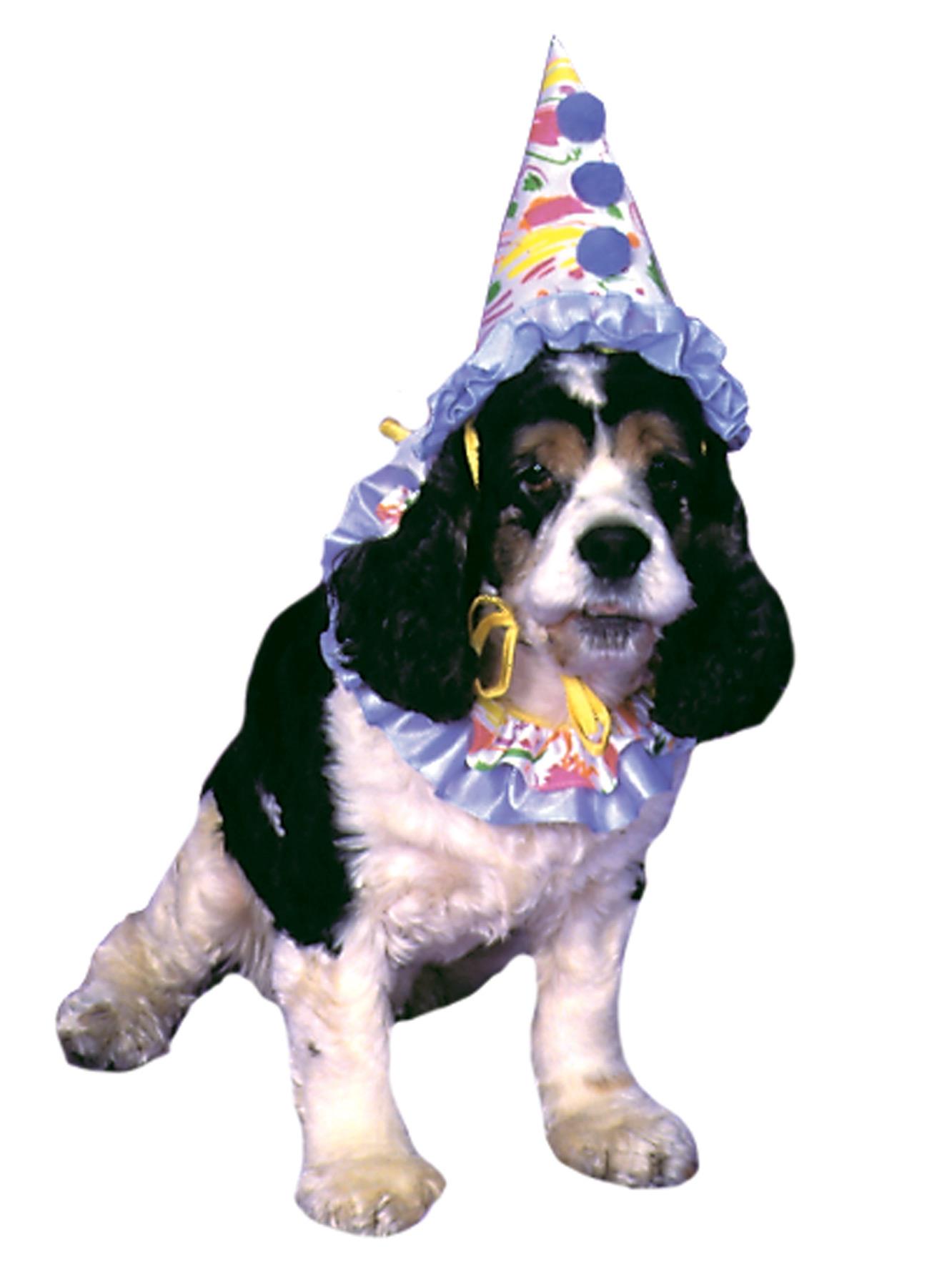 Clown Pet Costume