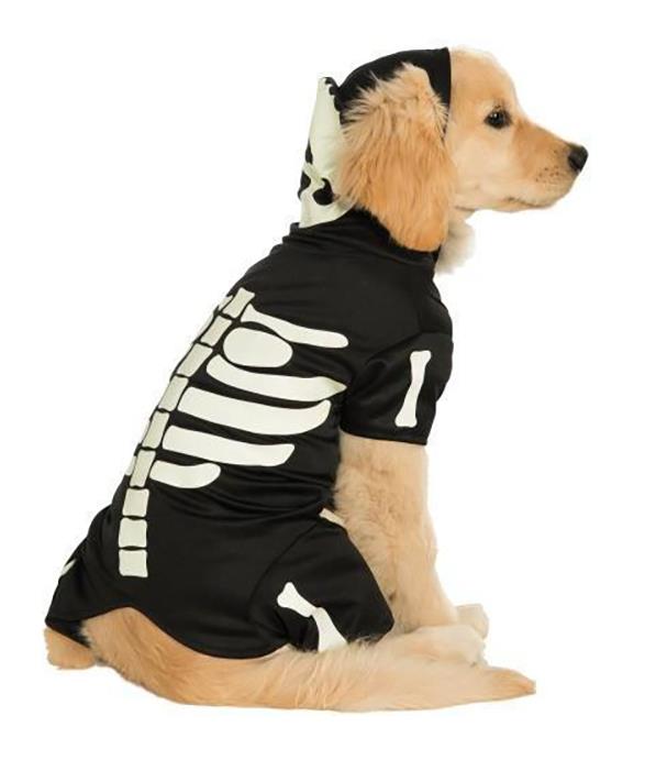 Glow in the Dark Skeleton Pet Costume