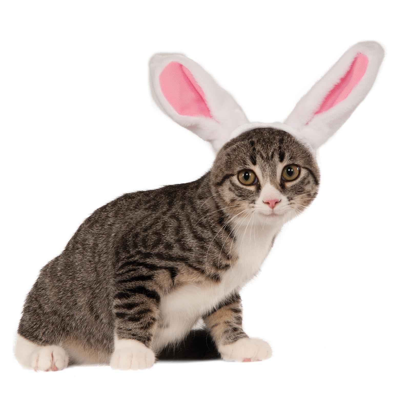 Bunny Ears Pet Costume Accessory M/L