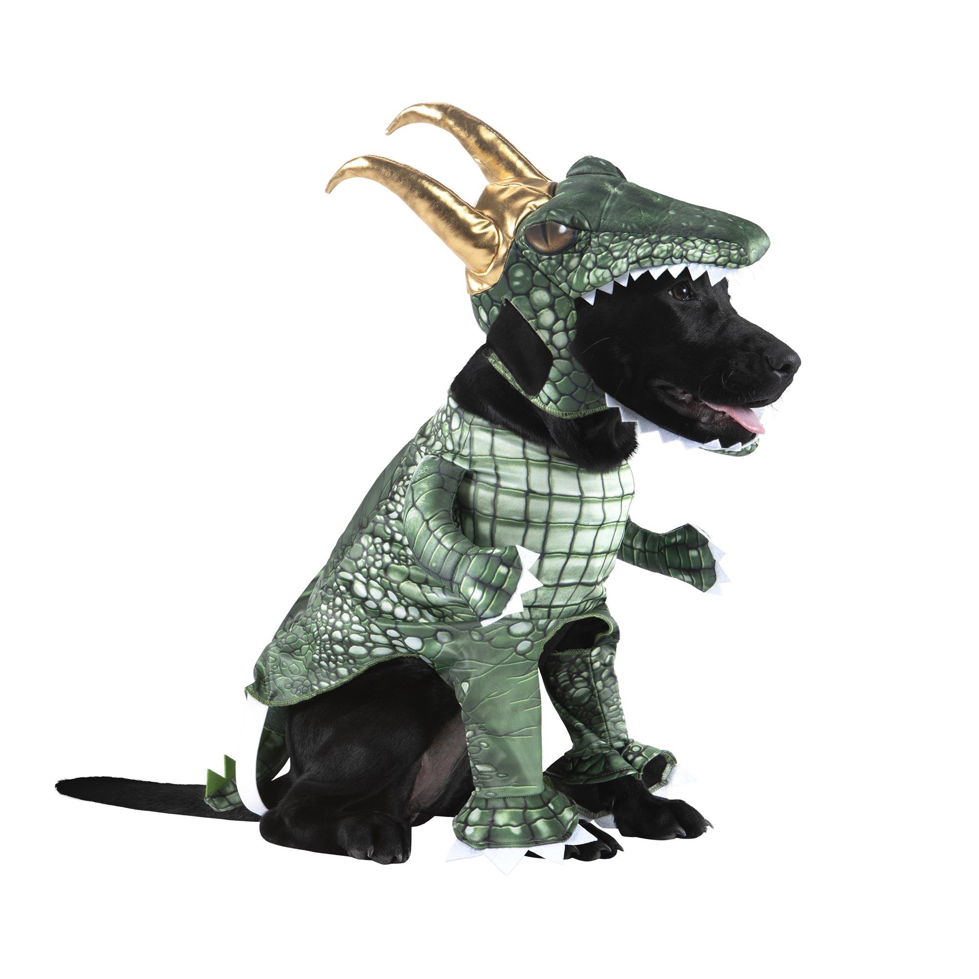 Loki Series Alligator Loki Pet Costume
