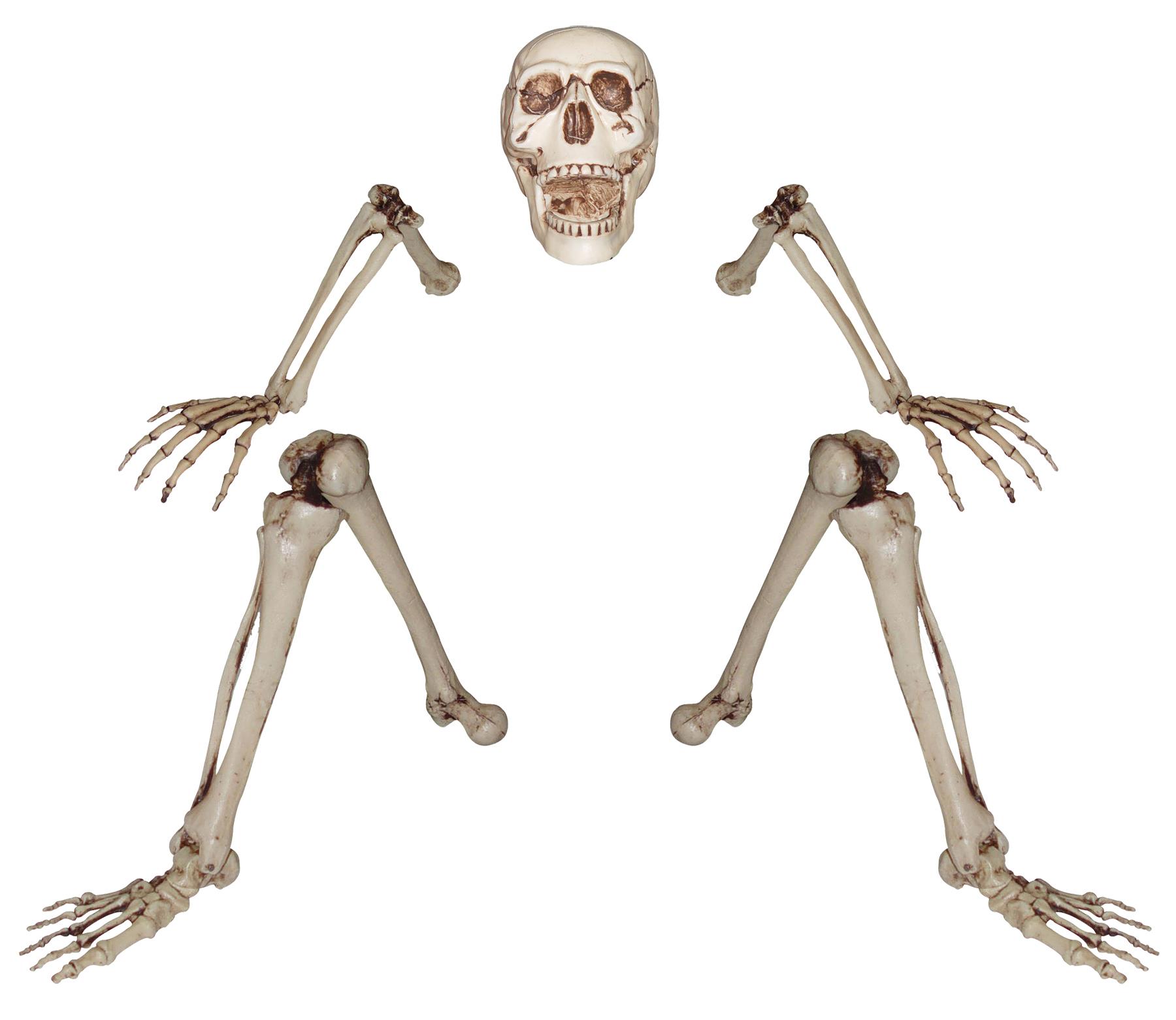 Life Size Ground Breaking Skeleton Halloween Prop