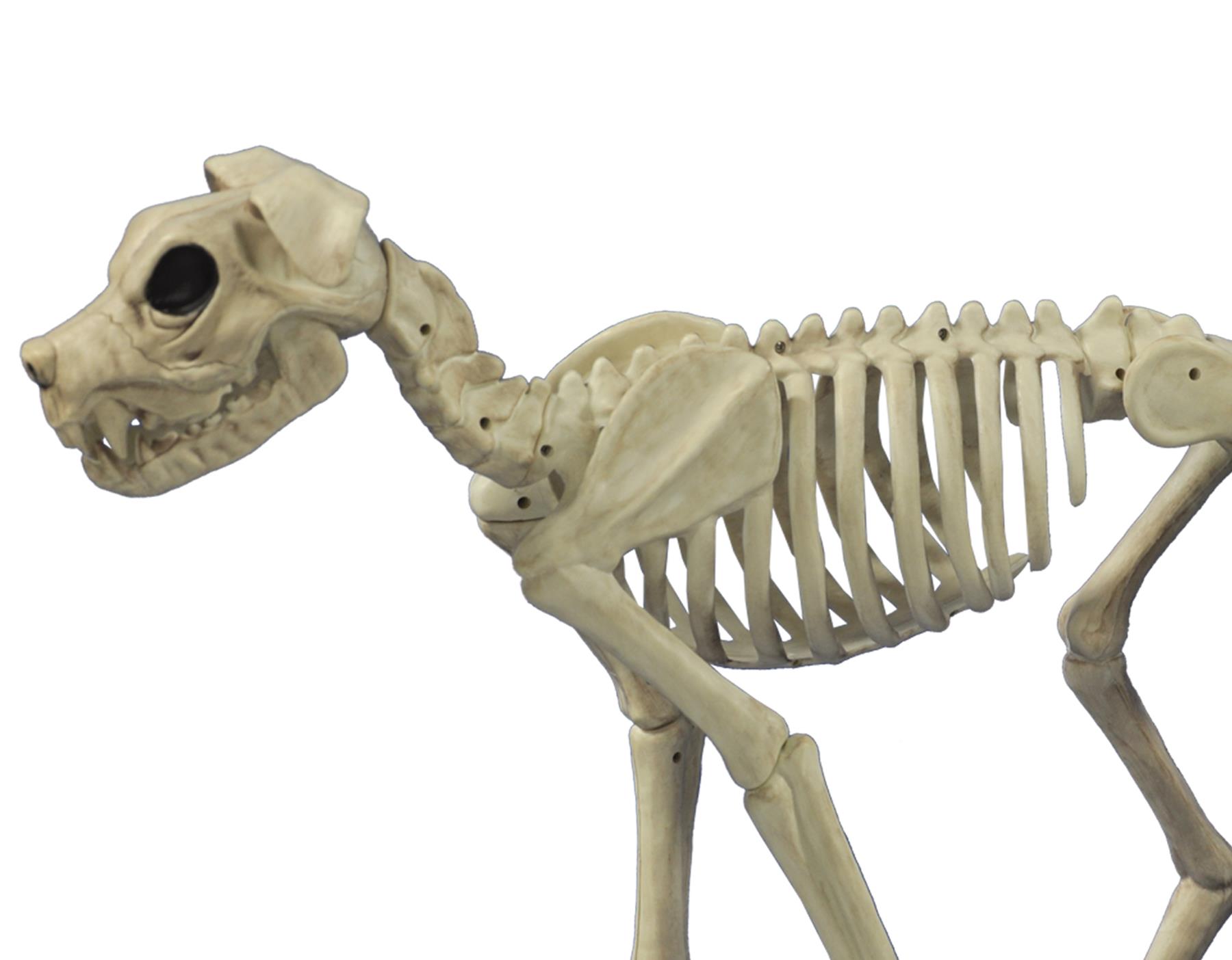 Brutus Bones Skeleton Dog Halloween Prop