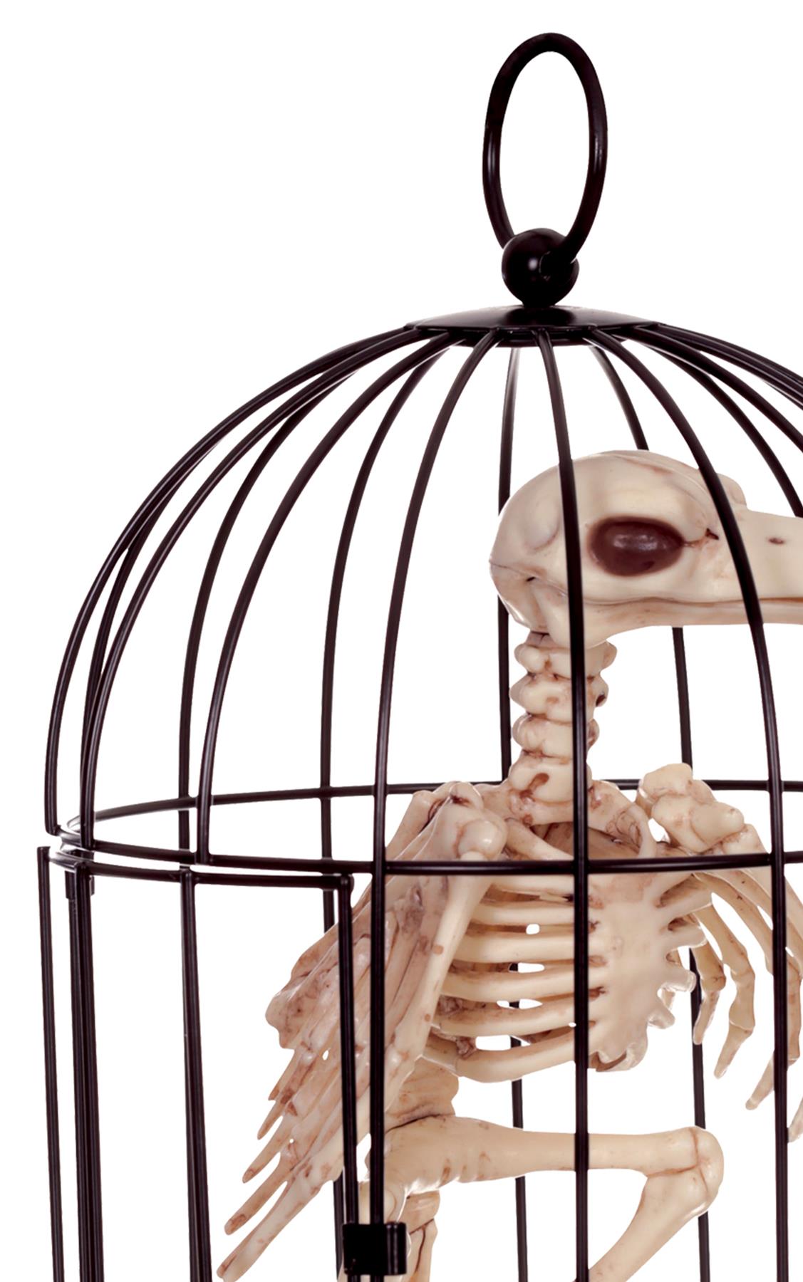Skeleton Crow in Cage Halloween Prop