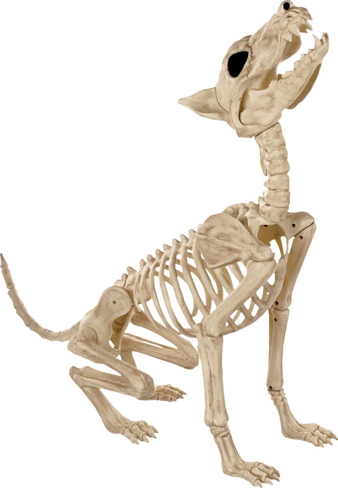 Howl at the Moon Wolf Skeleton Halloween Prop