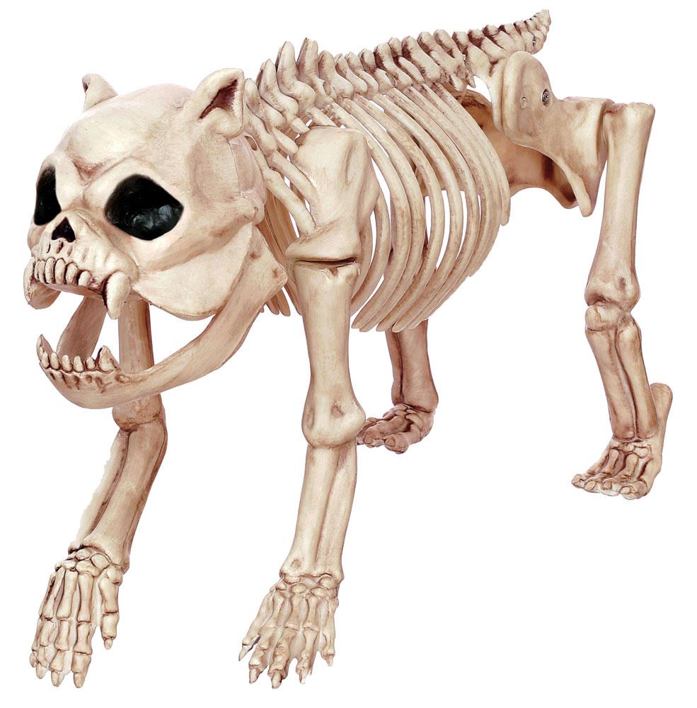 Bones the Dog Skeleton Halloween Prop