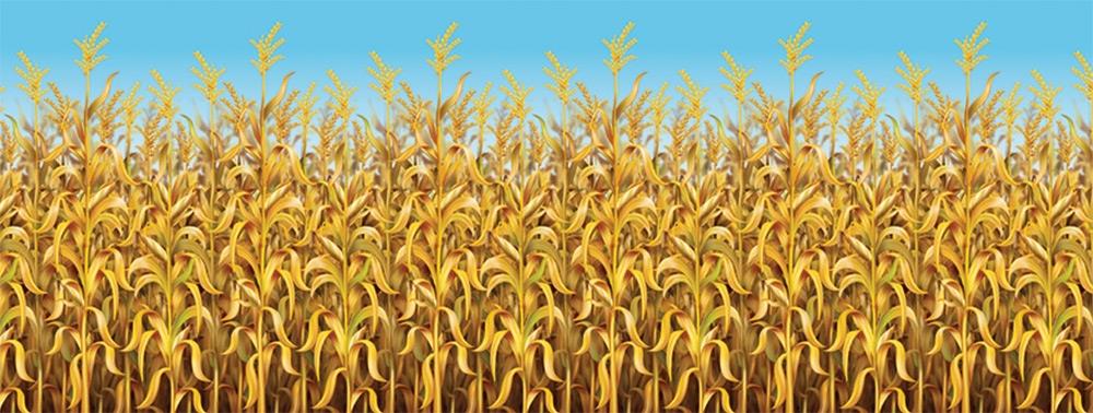 Thanksgiving Cornstalks Backdrop