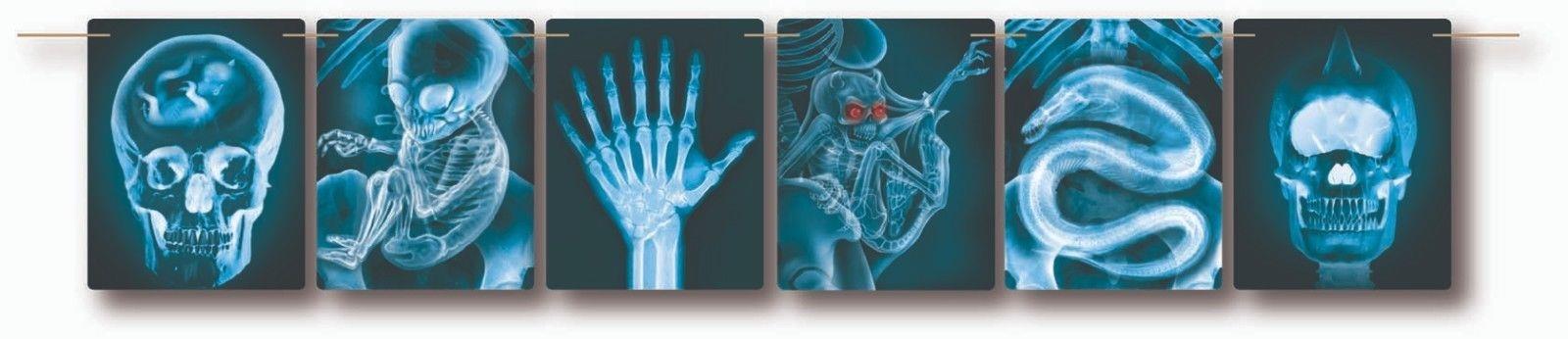 Mad Scientist X-Ray Banner 9ft Halloween Decoration