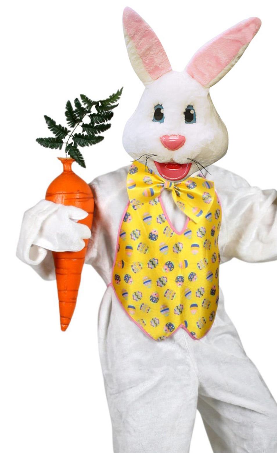 Professional Easter Bunny Adult Costume
